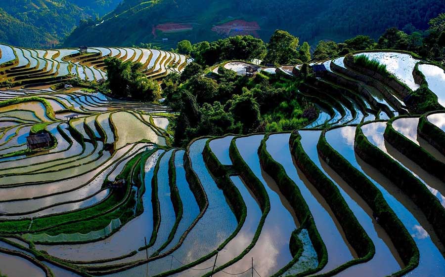 Best Time To Visit Sapa Rice Fields